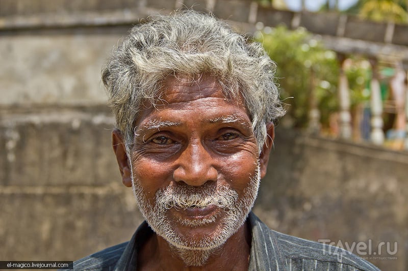 Кого можно повстречать, забравшись в глухие деревни Шри-Ланки / Шри-Ланка