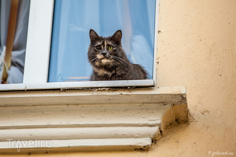 Сонное царство. Коломна / Фото из России