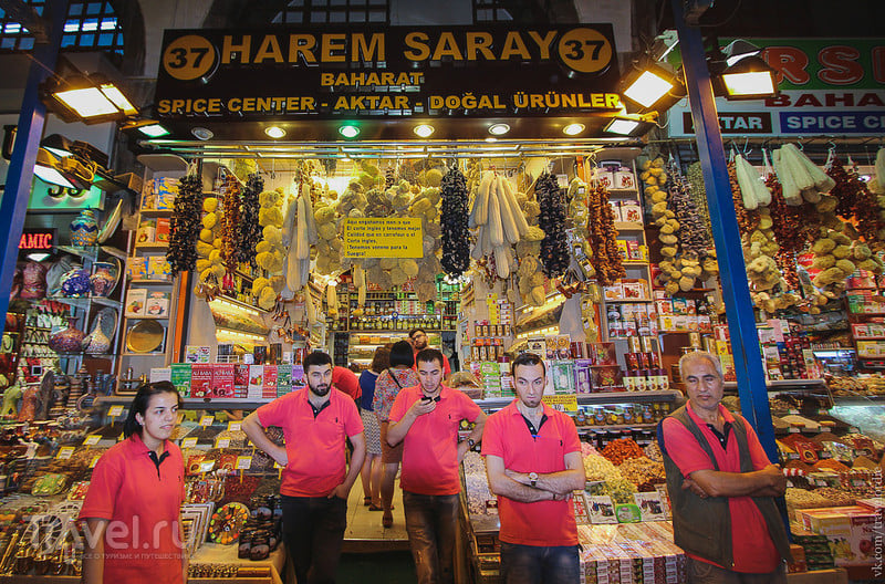 Типичный Стамбул. Старый Город, Гранд Базар, подземная мода, ниндзя и котики / Фото из Турции