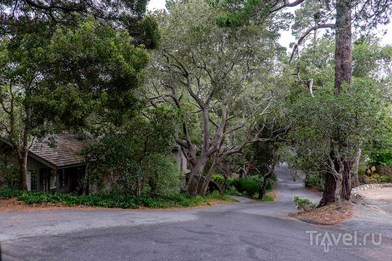 Калифорния. Монтерей, Сан-Диего, граница с Мексикой, Слаб-Сити и Алгодонские Дюны / Мексика
