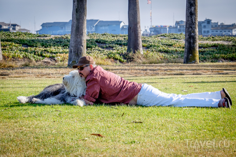 Калифорния. Монтерей, Сан-Диего, граница с Мексикой, Слаб-Сити и Алгодонские Дюны / Мексика