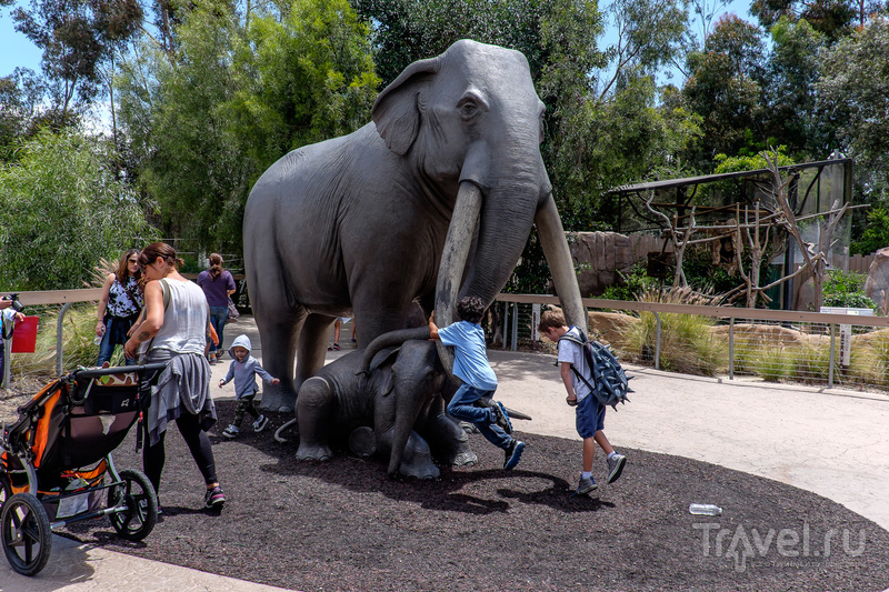 Калифорния. Монтерей, Сан-Диего, граница с Мексикой, Слаб-Сити и Алгодонские Дюны / Мексика