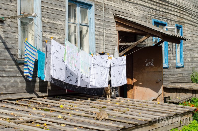 В каргопольском дворике / Фото из России
