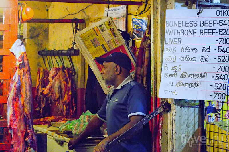 Шри-Ланка. Вопросы читателей / Шри-Ланка