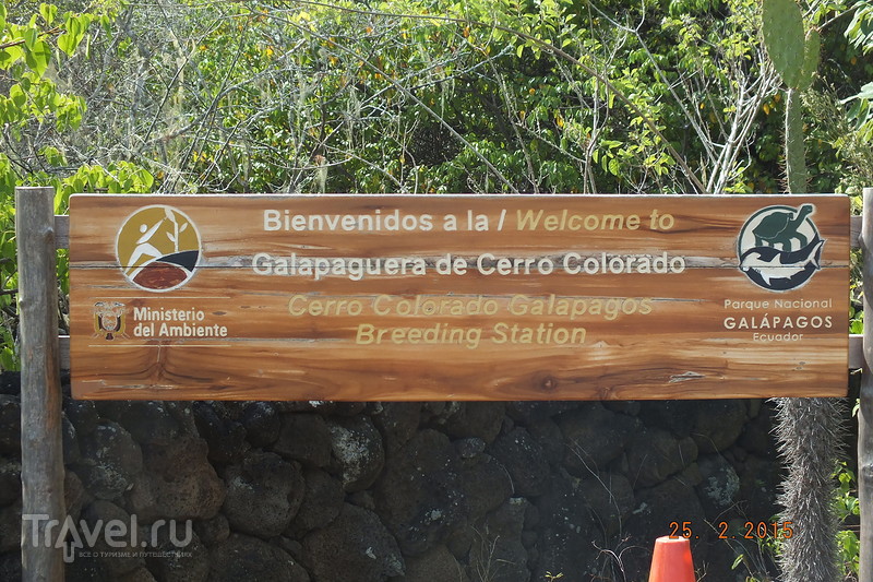 Галапагосы. Остров Сан-Кристобаль. Экскурсия по острову / Эквадор