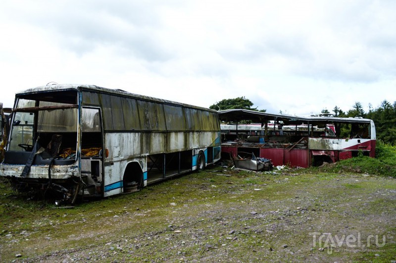 Достойная экспозиция старых автобусов около города Корк / Ирландия