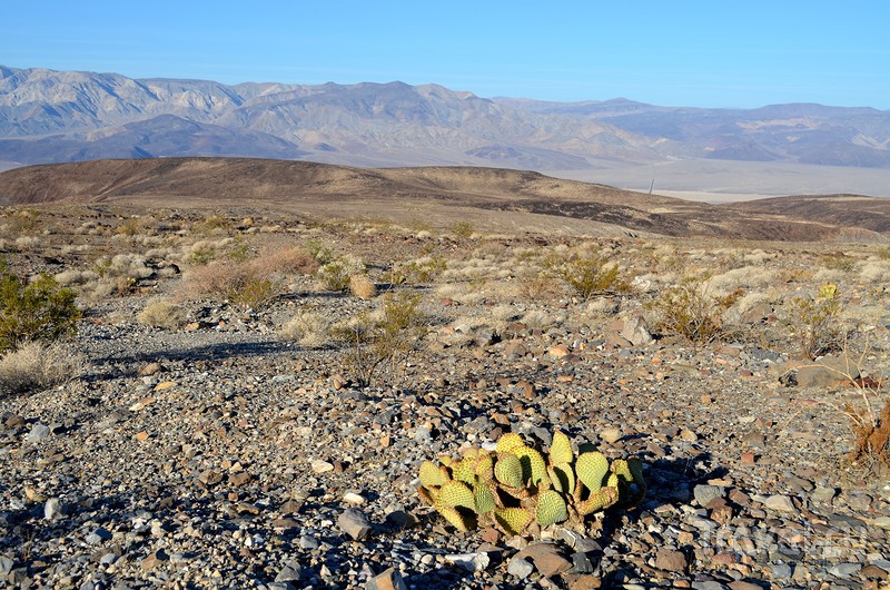 Долина Смерти (Death Valley) Сентябрь 2012 / Фото из США