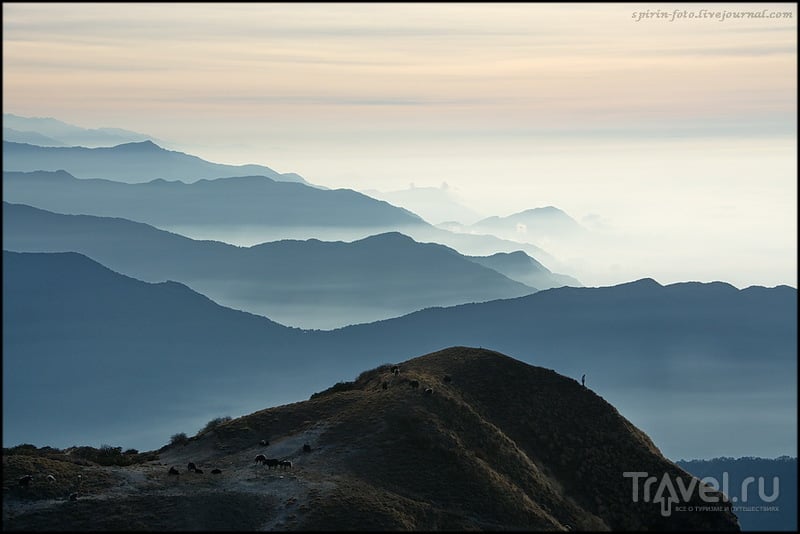 Трек к базовому лагерю Аннапурны / Фото из Непала