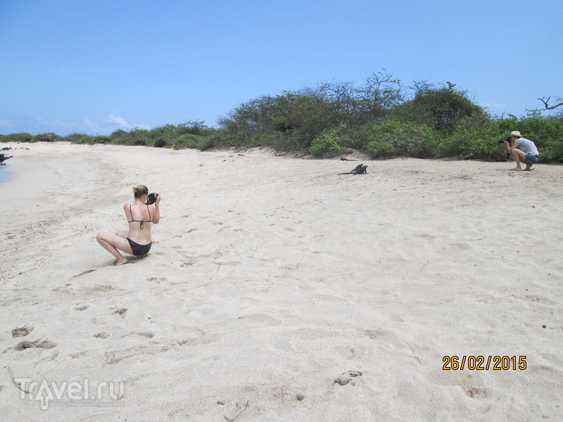 .  -.  Playa Punta Carola / 