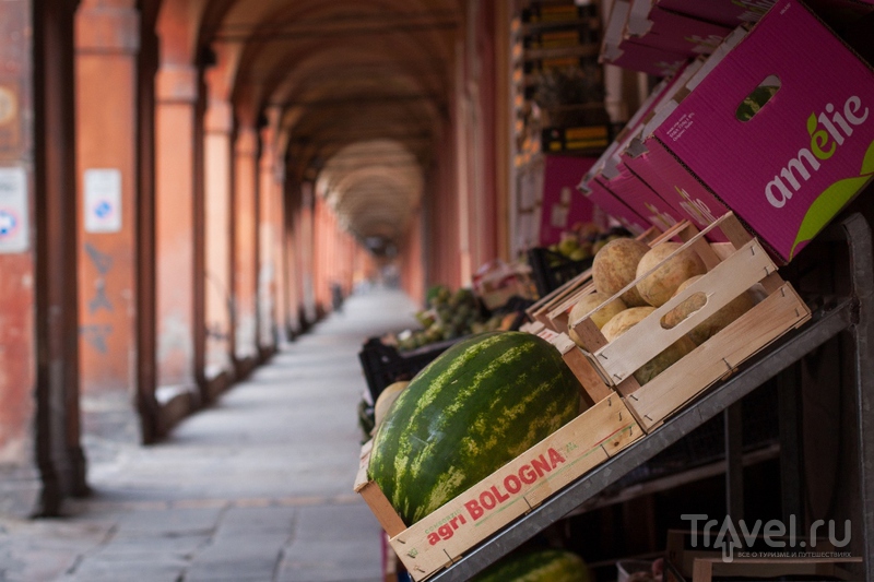 Болонья (Bologna) / Италия
