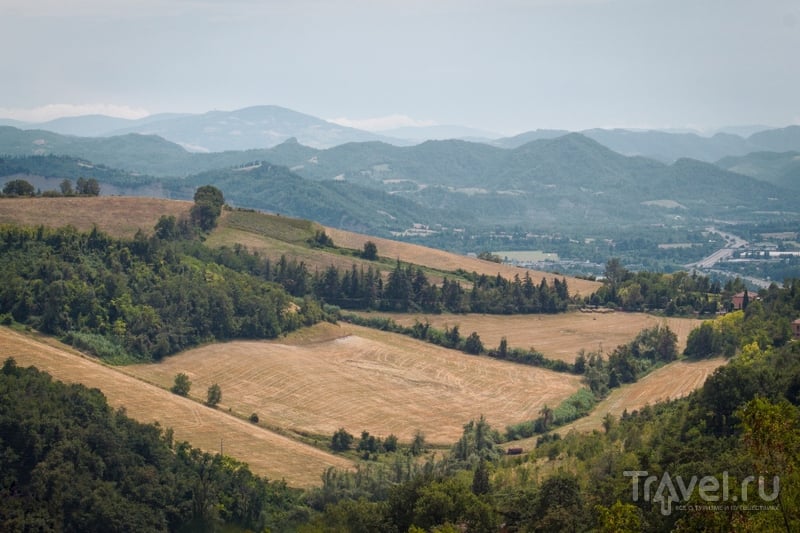  (Bologna) / 