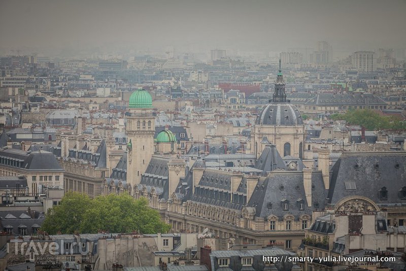Париж с крыши Нотр Дама / Фото из Франции