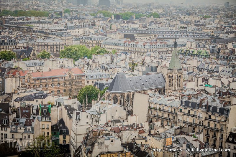 Париж с крыши Нотр Дама / Фото из Франции