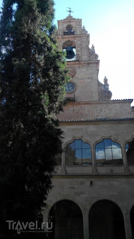 Саламанка: Собор, крыши, университет / Испания