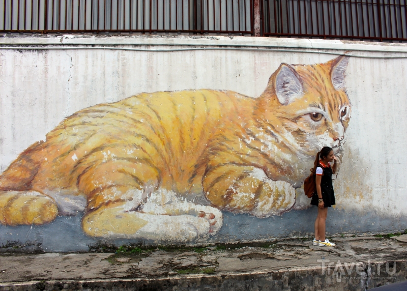 Уличное искусство Джорджтауна, Пинанг / Малайзия