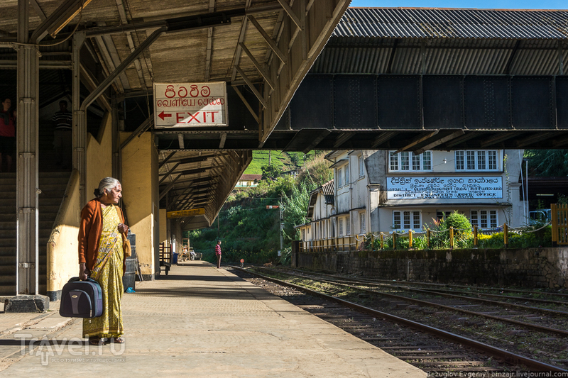Шри-Ланка. Поездом сквозь чайные плантации / Фото со Шри-Ланки