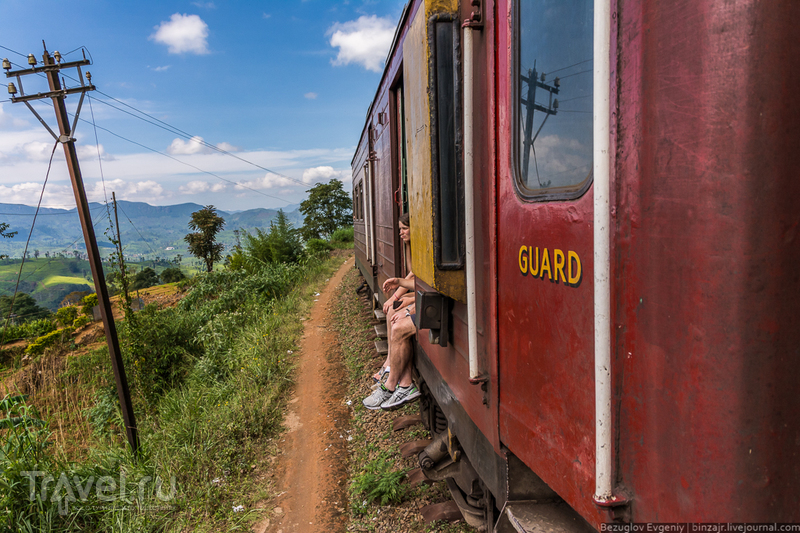 Шри-Ланка. Поездом сквозь чайные плантации / Фото со Шри-Ланки