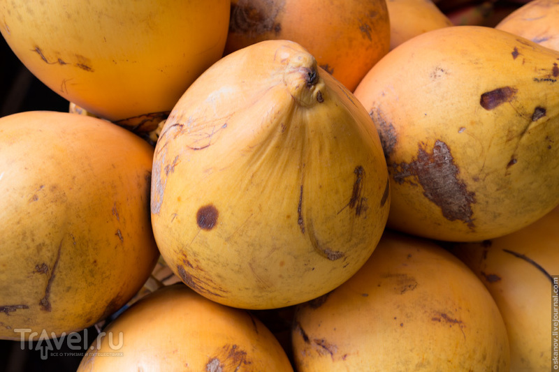 Путевые заметки. Тропические фрукты / Фото со Шри-Ланки