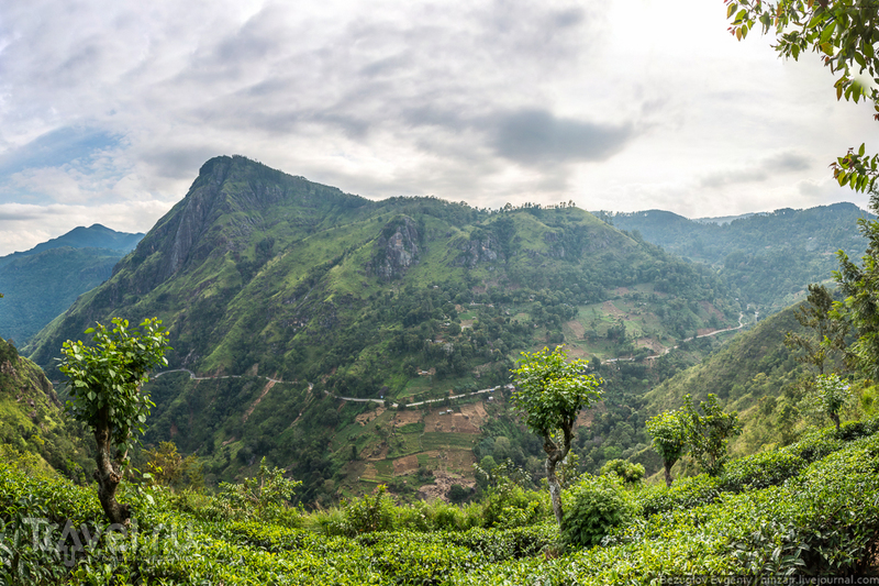 Шри-Ланка. Восхождение на Малый Пик Адама / Фото со Шри-Ланки