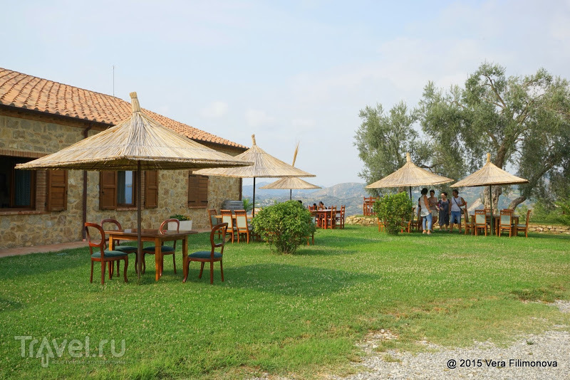   (Kantina Kokomani)    /   