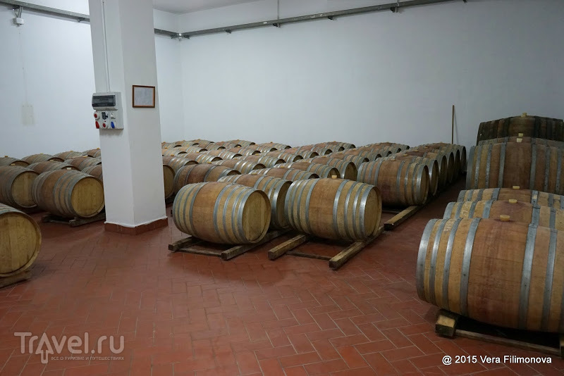   (Kantina Kokomani)    /   