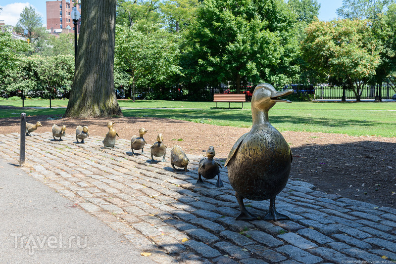  : Boston Public Garden /   