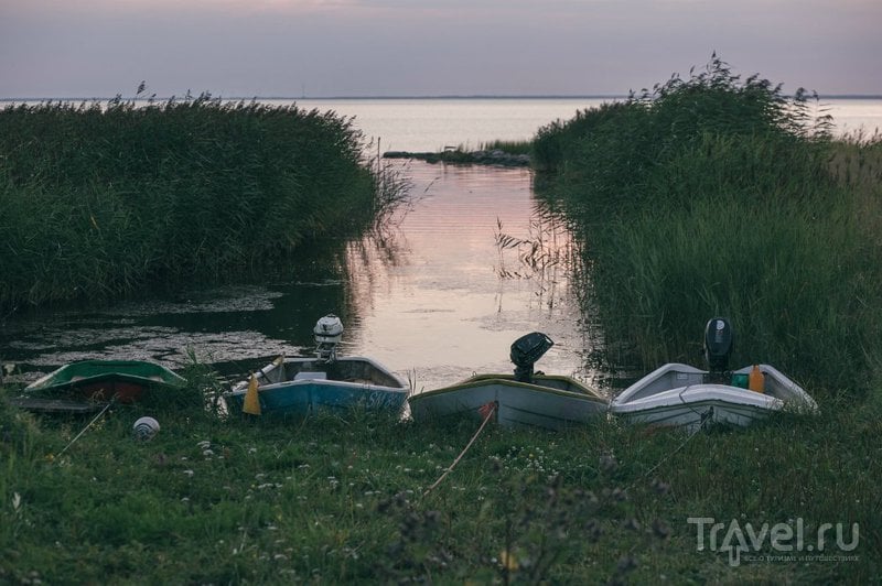 Абрука - балтийский остров безмятежного существования / Фото из Эстонии