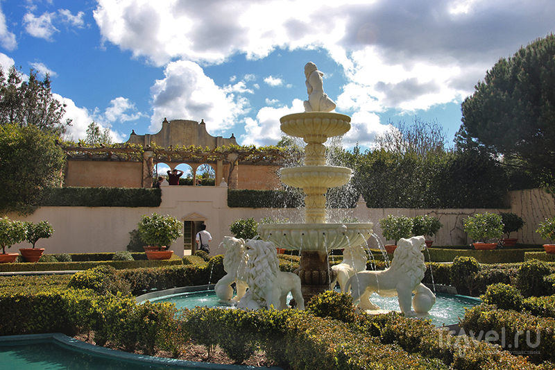 Hamilton Gardens, Новая Зеландия / Фото из Новой Зеландии