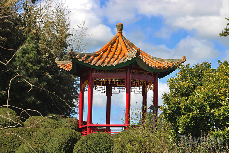 Hamilton Gardens, Новая Зеландия / Фото из Новой Зеландии