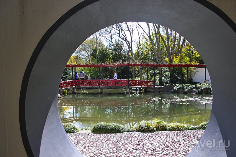 Hamilton Gardens, Новая Зеландия / Фото из Новой Зеландии