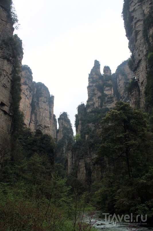 Китай: национальный парк Чжанцзяцзе ("горы Аватара") / Китай