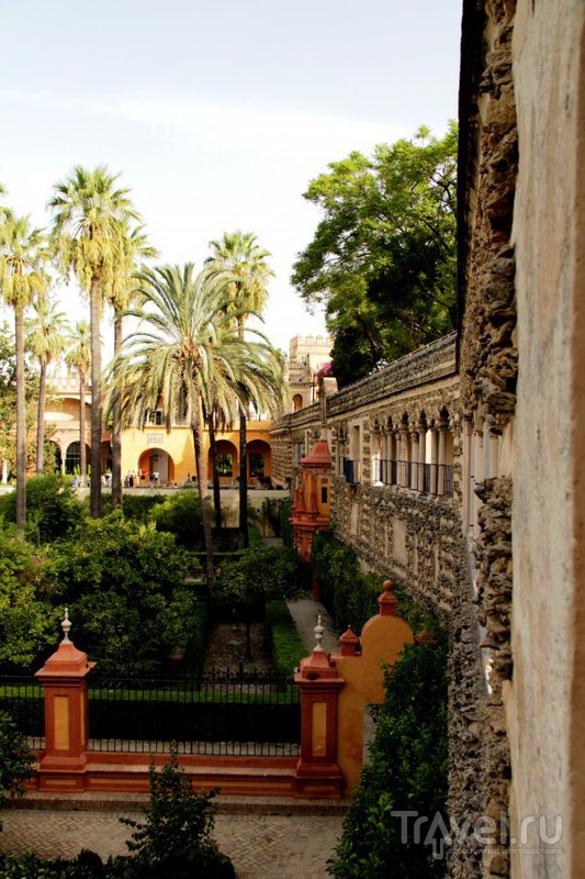 Королевский Алькасар в Севилье / Испания