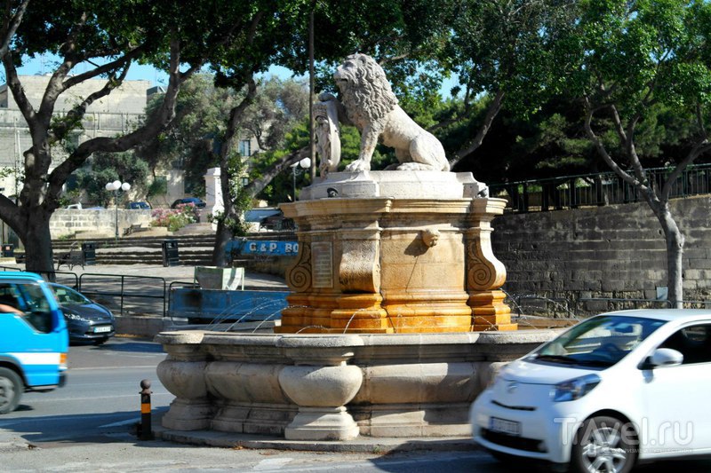 Флориана. Мальта - Флорианские коты и немного города / Мальта