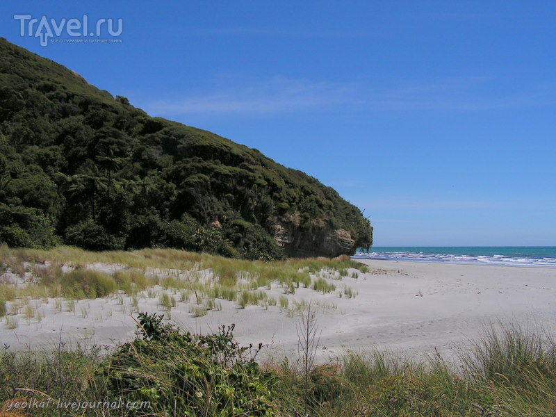 В стране антиподов. Песчаные дюны мыса Феруэлл / Новая Зеландия