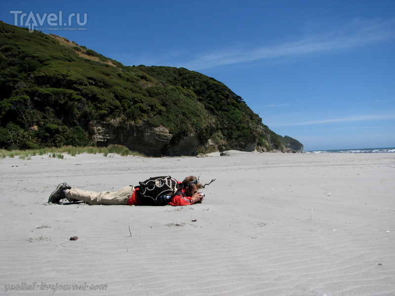 В стране антиподов. Песчаные дюны мыса Феруэлл / Новая Зеландия