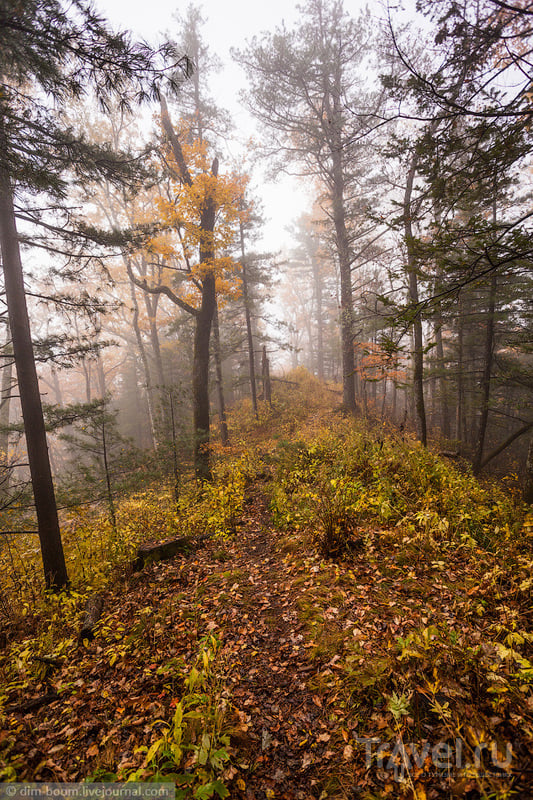 Осень на горе Ольховой. Приморский край / Фото из России