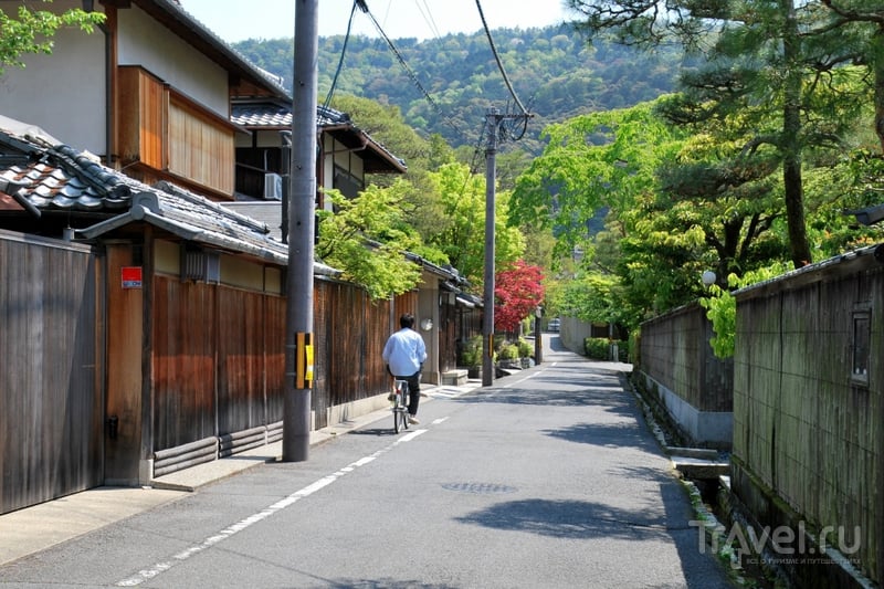 Киото: прогулка по Философскому Пути, красные клёны и розовая сакура / Япония