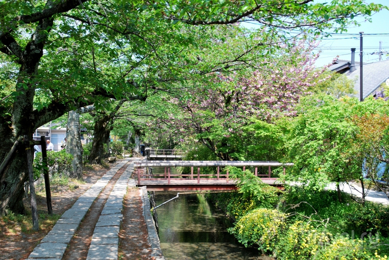 Киото: прогулка по Философскому Пути, красные клёны и розовая сакура / Япония