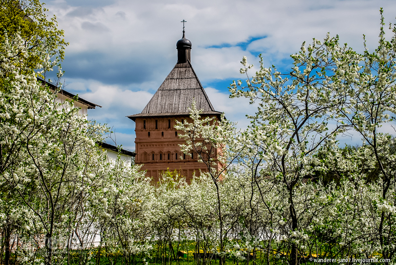 Суздаль. Спасо-Евфимиев монастырь / Фото из России