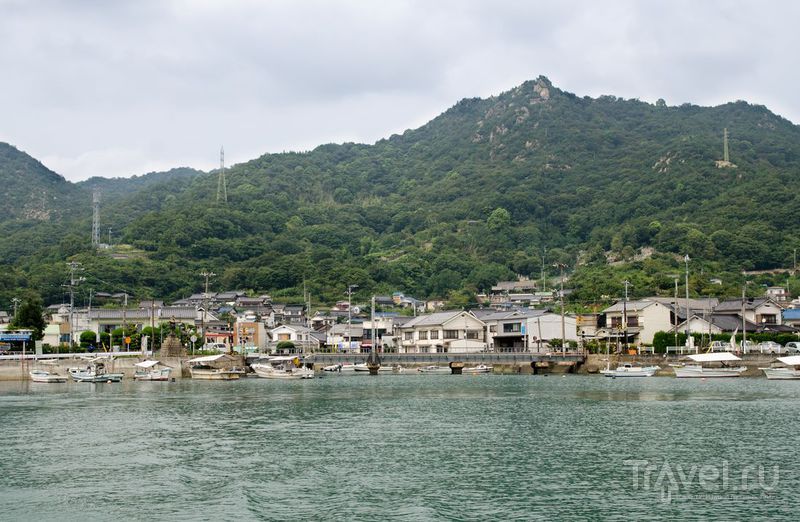 Окуносима: Заячий остров / Фото из Японии
