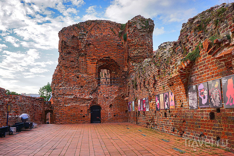 На развалинах Торуньского замка / Фото из Польши