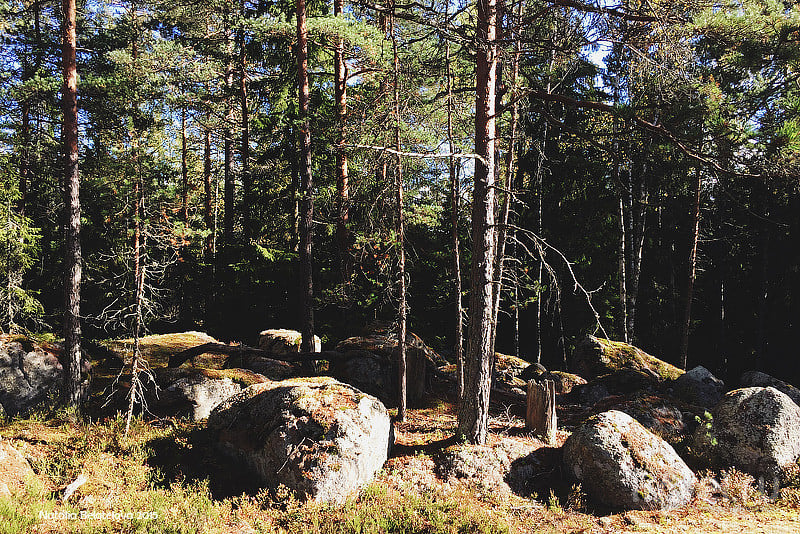 Национальный парк Нууксио в Финляндии / Финляндия