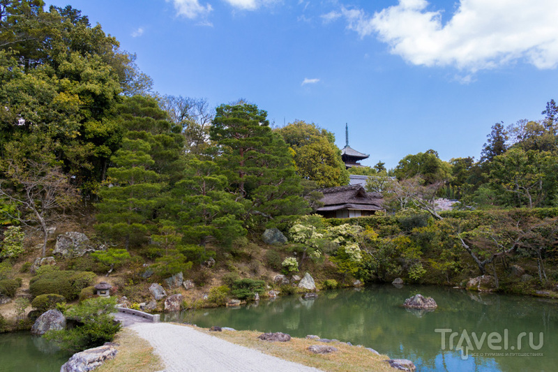 Киото. Западные храмы, Золотой павильон и самый знаменитый сад камней / Фото из Японии