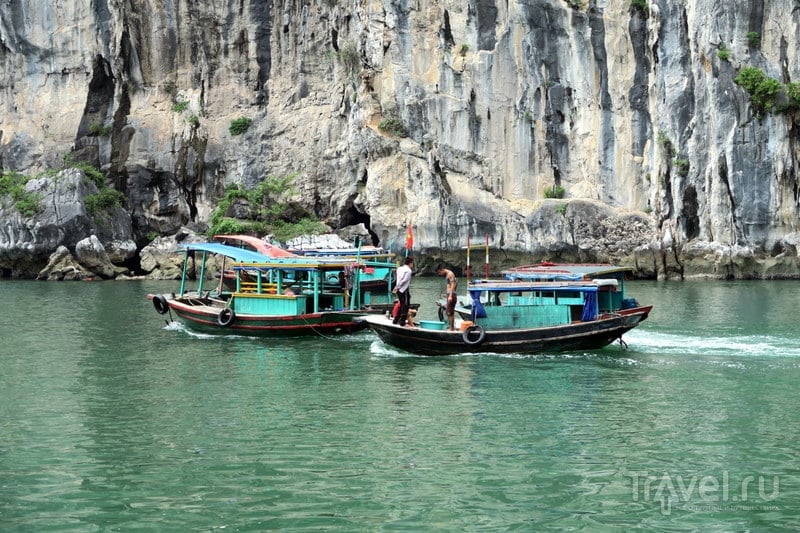 Халонг - вьетнамская бухта тысяч островов / Фото из Вьетнама