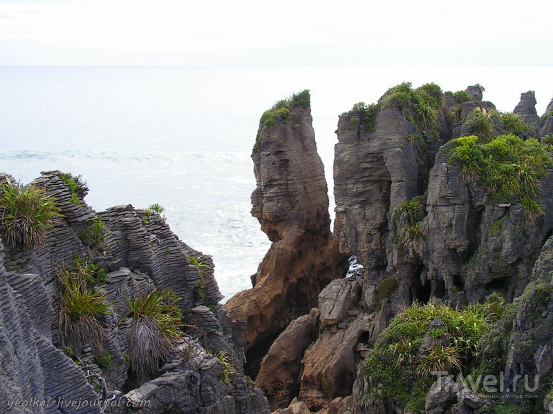 В стране антиподов. Заповедник Папароа - Pancake rocks / Фото из Новой Зеландии