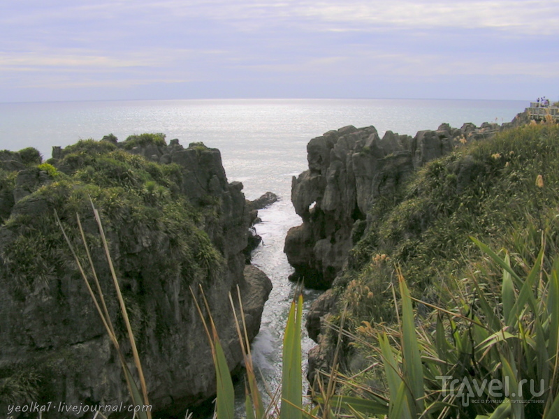 В стране антиподов. Заповедник Папароа - Pancake rocks / Фото из Новой Зеландии