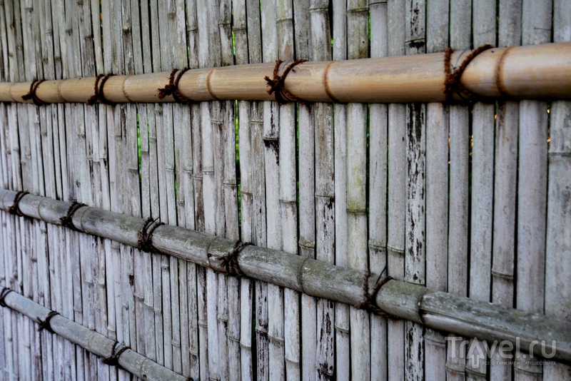 Киото: о бамбуке, романтическом поезде и бумажных карпах / Япония