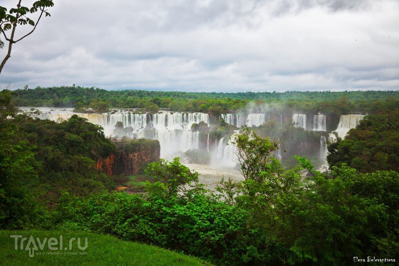 Засунуть любопытный нос в Бразилию: Водопады Игуасу и Парк птиц / Фото из Бразилии