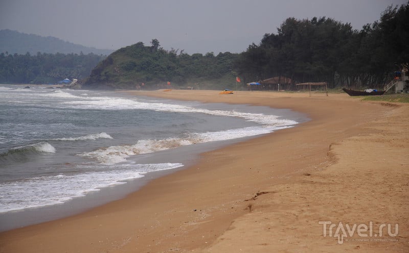 Южный Гоа и тёлки на пляже / Фото из Индии