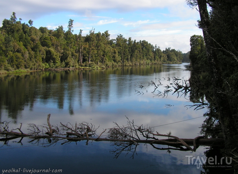 В стране антиподов. Озеро Бруннер / Фото из Новой Зеландии